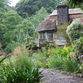 Dartington Gardens - photos Glyn Phillips