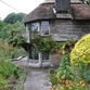Dartington Gardens - photos Glyn Phillips