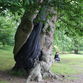 Dartington Gardens - photos Glyn Phillips