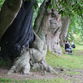 Dartington Gardens - photos Glyn Phillips