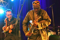JuJu - Photos ©Glyn Phillips