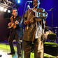 JuJu - Photos ©Glyn Phillips