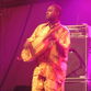 Bassekou Kouyate & Ngoni Ba